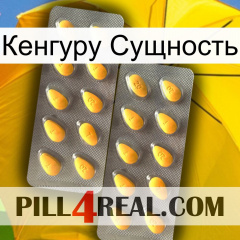 Кенгуру Сущность cialis2